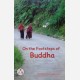 On the Footsteps of Buddha