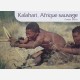 Kalahari, Afrique sauvage