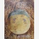 Native American, Pre-Columbian, ... 31/10/2000