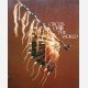 Circles of the World : Traditional Art of the Plains Indians