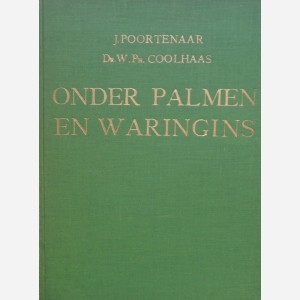Onder palmen en waringins
