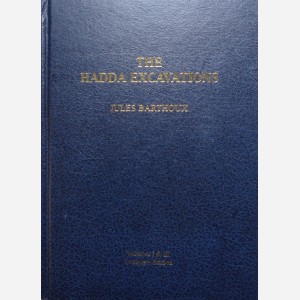 The Hadda Excavations