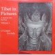 Tibet in Pictures : A Journey into the Past
