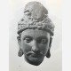 A Catalogue of the Gandhara Sculpture in the British Museum