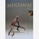 Mentawai Art