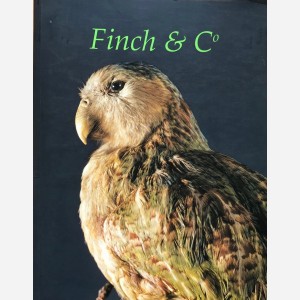 Finch & Co Spring 2005