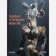 Sculptures of the Nigerian Middle Belt
