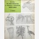 The Rock-Engravings of Griqualand & Bechuanaland South Africa