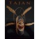 Tajan 19/2/2008