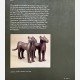 Treasures of Ancient Nigeria