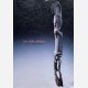 Art of the Abelam