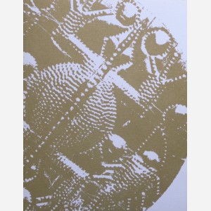 Une Collection Particulière : Valant Son Pesant d'Or