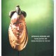African & Oceanic Art 22/4/80