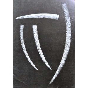 Drouot Richelieu Arts Primitifs 14/02/1991