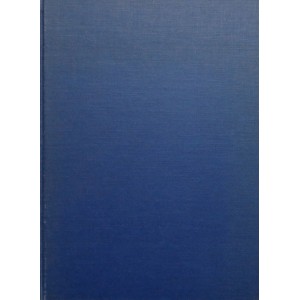 A dictionary of Chinese Buddhist Terms
