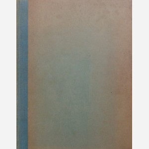Essays on Mogul Art
