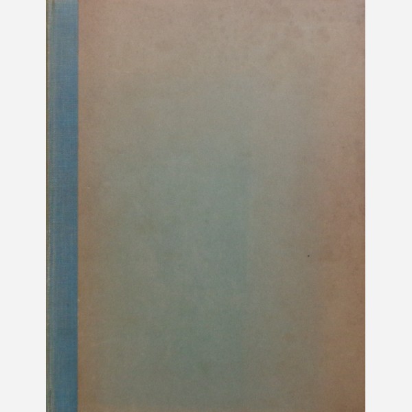 Essays on Mogul Art